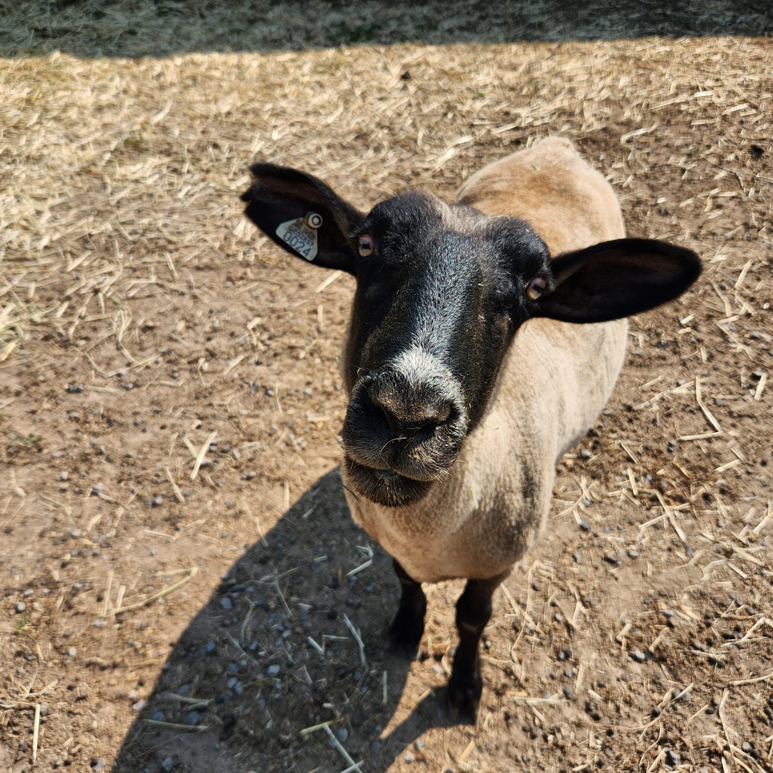 20230827 153338 Scaled